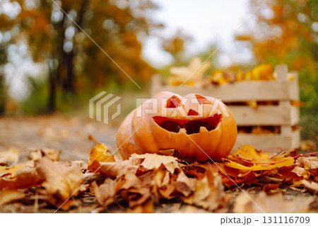 Traditional pumpkin as jack o'lantern, autumn fallen leaves lie on the park. Halloween greeting card Traditional pumpkin as jack o'lantern, autumn fallen leaves lie on the park. Halloween greeting card 131116709