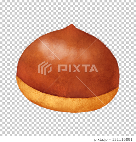 Illustration of a single chestnut Illustration of a single chestnut 131116891