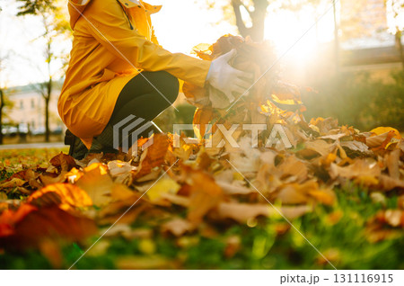 Woman cleans autumn park from yellow leaves. Volunteering, cleaning concept. Seasonal gardening. 131116915