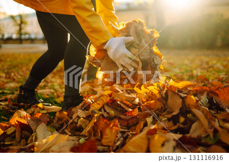Woman cleans autumn park from yellow leaves. Volunteering, cleaning concept. Seasonal gardening. Woman cleans autumn park from yellow leaves. Volunteering, cleaning concept. Seasonal gardening. 131116916