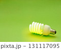 energy saving light bulb 131117095