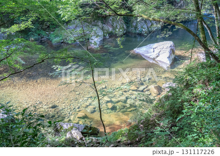 夏の三段峡 広島県安芸太田町の渓谷美 131117226