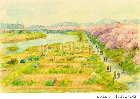 白石川堤一目千本桜　宮城県大河原町 131117242