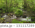 ブナの森　奥大山　木谷沢渓流　天然水のロケ地。 131117289