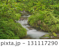 ブナの森　奥大山　木谷沢渓流　天然水のロケ地。 131117290