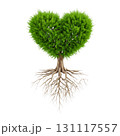 ハートをかたどった緑の木と根 131117557
