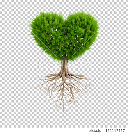 Heart-shaped green tree and roots 131117557