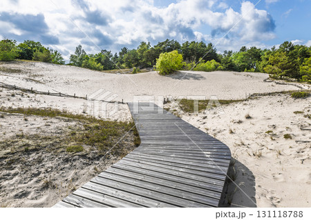 Wooden boardwalk across white sand dunes in coastal Latvia, Baltic landscape 131118788