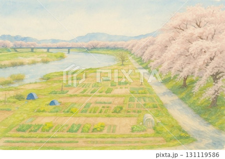 白石川堤一目千本桜　宮城県大河原町 131119586