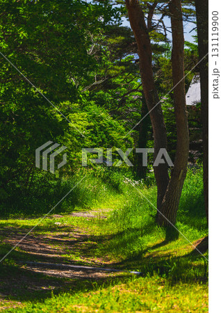 清里の清泉寮 131119900