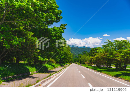 ポールラッシュ通り 清里 ポールラッシュ通り 清里 131119903