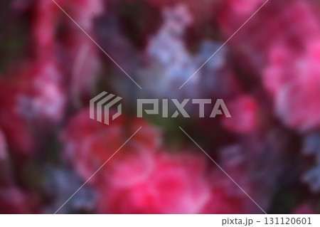 A blurred image of red roses on a black. 131120601