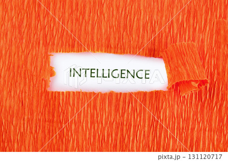 Concept word INTELLIGENCE. Business finance, data analytics financial management technology concept Concept word INTELLIGENCE. Business finance, data analytics financial management technology concept 131120717