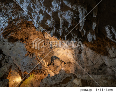 石垣島　サビチ洞 131121366