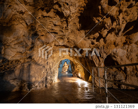 石垣島 サビチ洞 石垣島 サビチ洞 131121369
