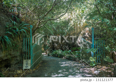 石垣島 サビチ洞 石垣島 サビチ洞 131121377