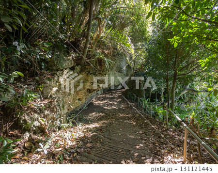 石垣島　サビチ洞（海に抜ける鍾乳洞） 131121445