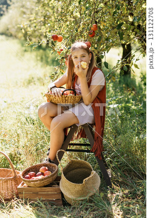 Child picking apples on farm in autumn. Little girl playing in tree orchard. Healthy nutrition. Cute little girl eating red delicious fruit. Harvest Concept. Apple picking. 131122708