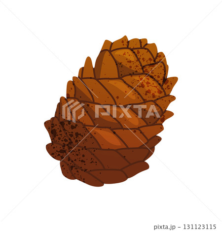 Vector icon of spruce cone. Evergreen seed of conifer tree. Cedar forest or alpine woodland element. Wood plant pod. Christmas decoration element. Winter or autumn nature. Biology and botany sign. 131123115