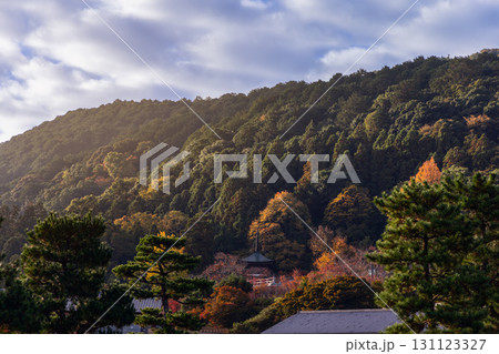 Warm mist drifts over Arashiyama forested slopes in Kyoto with autumn trees and small pagoda 131123327