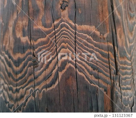 Close view of a tree trunk surface without bark displays unique textures and patterns. The natural wood grains create beautiful waves, reflecting the tree's age and history. 131123367