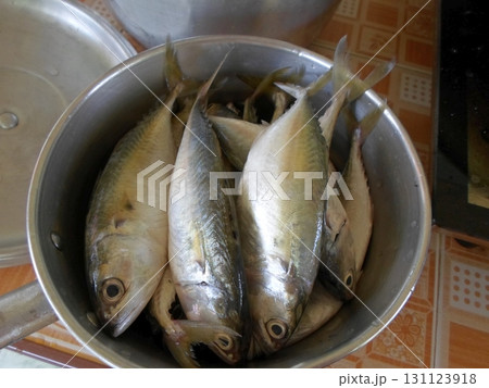 A Metal Pot Filled with Fresh Whole Fish on a Checkered Tablecloth in a Kitchen Setting A Metal Pot Filled with Fresh Whole Fish on a Checkered Tablecloth in a Kitchen Setting 131123918