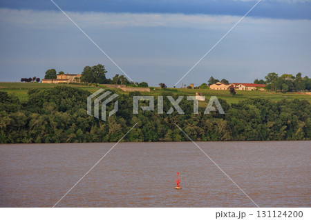 the garonne river and the city of Bordeaux 131124200