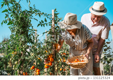 Senior couple working in garden as hobby. Senior couple working in garden as hobby. 131125324