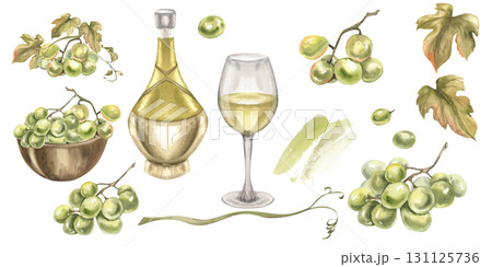Green grapes watercolor collection with grape bunch,vine,leaves, wooden plate with fruits, bottle and glass of wine and grape berries isolated elements for card, packing, invitation design 131125736