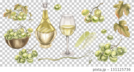 Green grapes watercolor collection with grape bunch,vine,leaves, wooden plate with fruits, bottle and glass of wine and grape berries isolated elements for card, packing, invitation design 131125736