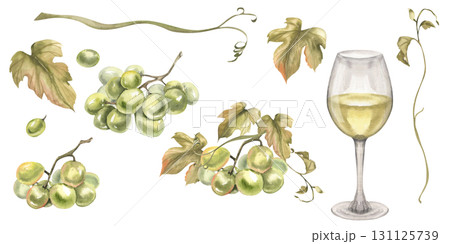 White wine glass and grapes bunches watercolor collection. Isolated elements of fresh green grapes, berries and floral parts. Summer fruits for juice and Italian wine ingredients clipart for design 131125739
