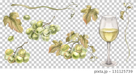 White wine glass and grapes bunches watercolor collection. Isolated elements of fresh green grapes, berries and floral parts. Summer fruits for juice and Italian wine ingredients clipart for design 131125739