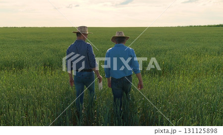 Two farmers walking in a green wheat field, Farmers inspecting crops together, Agricultural teamwork in the countryside, Rural scene with farmers and crops, Field workers discussing harvest 131125898