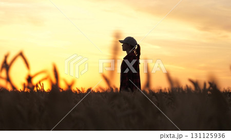 agriculture woman farmer walks through wheat fields. women firm sunset. women business. concept agriculture. woman works agriculture. field wheat sunset. Women business. term refers ears wheat field agriculture woman farmer walks through wheat fields. women firm sunset. women business. concept agriculture. woman works agriculture. field wheat sunset. Women business. term refers ears wheat field 131125936