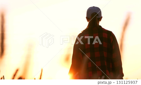 concepts of agriculture. young girl farmer assistant, walks through field wheat. Business partner farm, wheat. woman wheat field. work young woman field. Girl sunset. Work assistant. work rural areas. 131125937