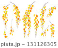 Set of Simple Autumn Weeping Birch Branches. 131126305