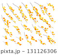 Set of Simple Autumn Birch Branches in Wind. 131126306
