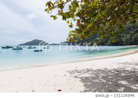 Sandy beach view on a sunny day, Seychelles. Coastal landscape Sandy beach view on a sunny day, Seychelles. Coastal landscape 131126846