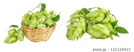 Hop cones in wicker basket isolated on white background. Beer brewing ingredients Hop cones in wicker basket isolated on white background. Beer brewing ingredients 131126915