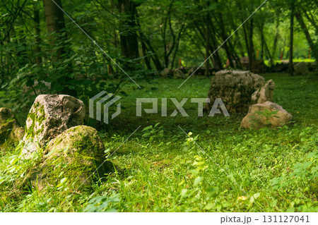 Landscape with green trees, grass and stones in the park. 131127041