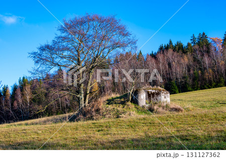 A historical view of a Czechoslovak anti-infantry bunker, known as a "ropik," standing in a field surrounded by trees, evoking the past and its wartime significance A historical view of a Czechoslovak anti-infantry bunker, known as a "ropik," standing in a field surrounded by trees, evoking the past and its wartime significance 131127362