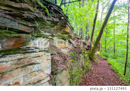 The ruins of Ryzmburk Castle in Babiccino Valley near Ratiborice, Czech Republic, captivate visitors with its historic charm atop a cliff overlooking the Upa River. 131127491