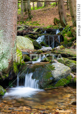 Krkonose mountains - waterfall scenic nature moss green background - white wild water falling from rocks making romantic veils. KRNAP (Krkonossky National Park), Czech Republic 131127512