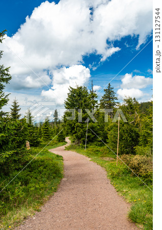 View of hiking trail in Krkonose national park, Czech Republic. Forest near the tourist path on top of hill. Summer weather. 131127544