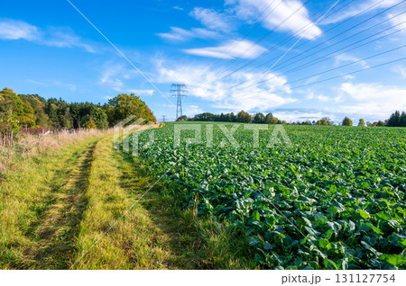 A landscape photo of power lines and transmission towers stretching across an open field with a scenic backdrop of hills and a partly cloudy sky. The image captures the intersection of nature and 131127754