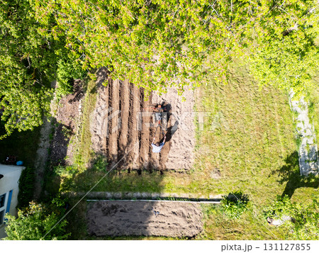 Young farmer man is cultivating the field with machine. Aerial drone top down view of small field in old fashioned garden. Concept of home agriculture. 131127855