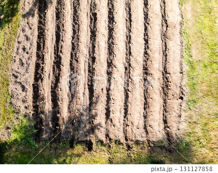 Aerial drone top down view of potato field prepared for growing in small old fashioned garden. 131127858