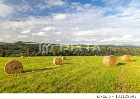 Landscape of Adrspach-Teplice Rocks area, in Hradec Kralove Region in Czech Republic, Europe. Hay bales dot a vibrant green field under a vast sky with scattered clouds, showcasing rural landscape. 131128045
