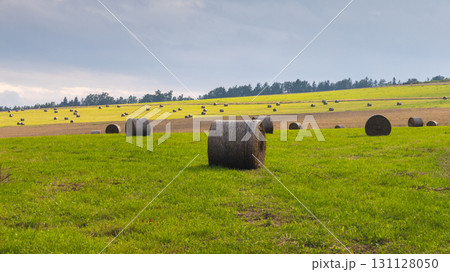 Landscape of Adrspach-Teplice Rocks area, in Hradec Kralove Region in the Czech Republic, Europe. Hay bales scattered across a vibrant green and golden field beneath a partly cloudy sky. Rural vista. Landscape of Adrspach-Teplice Rocks area, in Hradec Kralove Region in the Czech Republic, Europe. Hay bales scattered across a vibrant green and golden field beneath a partly cloudy sky. Rural vista. 131128050