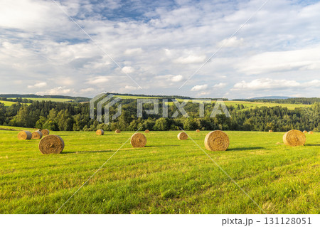 Landscape of Adrspach-Teplice Rocks area, in Hradec Kralove Region in the Czech Republic, Europe. Golden hay bales rest in a green field under a partly cloudy sky. A rural idyll of harvest time. Landscape of Adrspach-Teplice Rocks area, in Hradec Kralove Region in the Czech Republic, Europe. Golden hay bales rest in a green field under a partly cloudy sky. A rural idyll of harvest time. 131128051